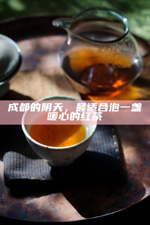 成都的阴天，最适合泡一盏暖心的红茶