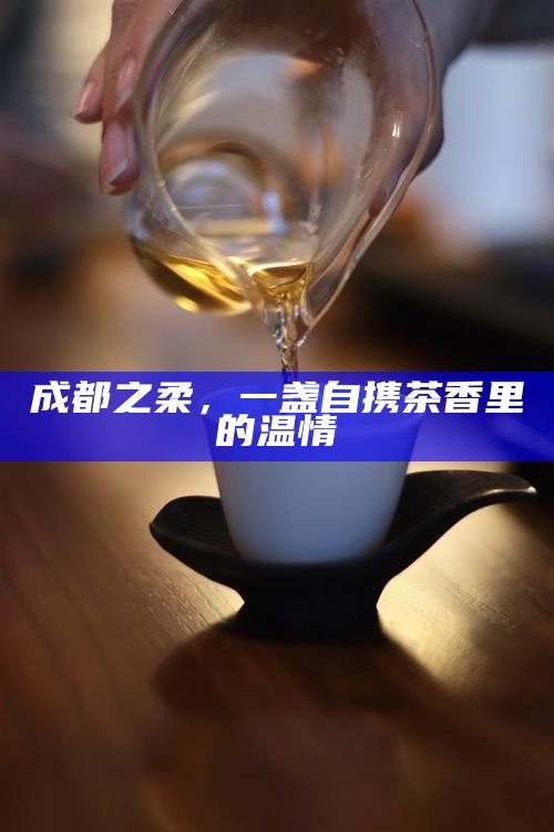 成都之柔,一盏自携茶香里的温情