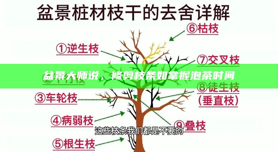 盆景大师说，修剪枝条如掌握泡茶时间